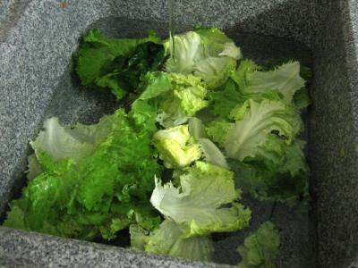 Salade à la Mexicaine et sauce guacamole - 9.1