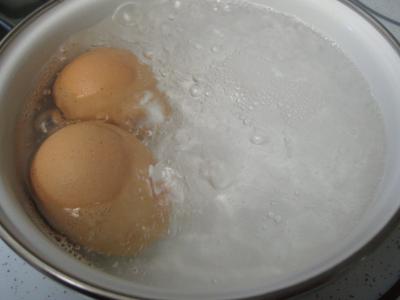 Aumônières aux crevettes - 3.1
