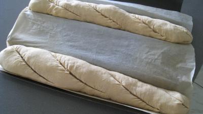 Baguettes de pain - 11.1