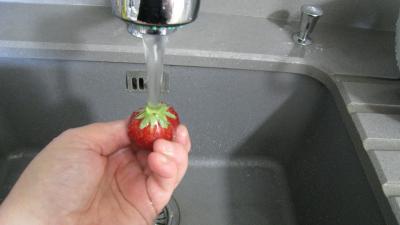 Salade de blé aux fruits - 5.2