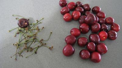 Blanquette aux pommes et aux fruits - 1.2
