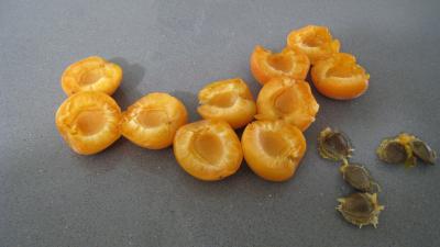 Blanquette aux pommes et aux fruits - 2.4