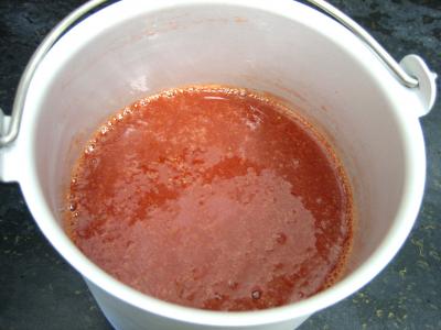 Sorbet aux fraises - 4.3