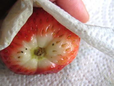 Sorbet aux fraises - 1.4
