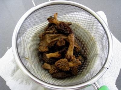 Boeuf aux morilles - 2.2