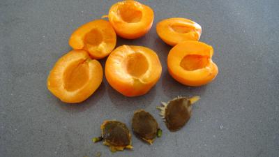 Blanquette de nectarines aux fruits rouges - 5.2