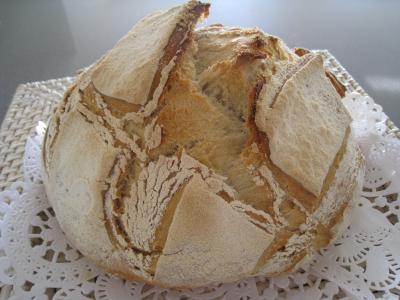 pâte à pizza : Pain à la farine bise