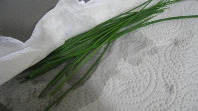 Brick aux courgettes et fenouil - 1.2
