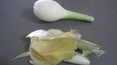 Brochettes à l'ananas minceur - 4.2