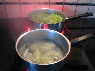 Purée de brocolis - 4.1