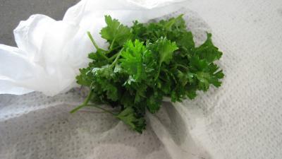 Blanquette de lotte au champagne - 5.2