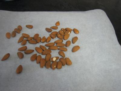 Pain aux amandes - 7.1
