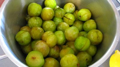 Gelée de mirabelles - 1.2