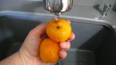 Coulis d'abricots - 1.1