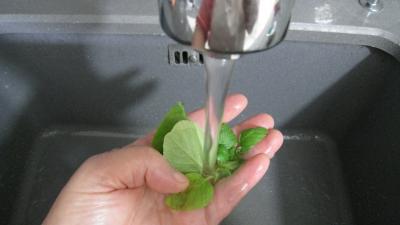 Boisson tomates santé - 2.2