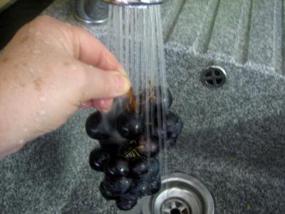 Cocktail raisins et framboises - 1.1