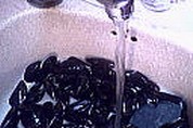 Moules à la bière - 3.4