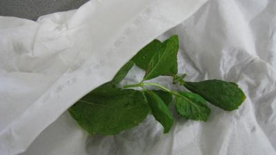 blé en cassolettes aux courgettes - 2.2