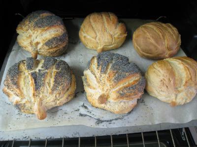 Pain aux figues sèches - 10.1
