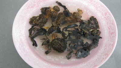 Brick aux champignons des bois - 4.2