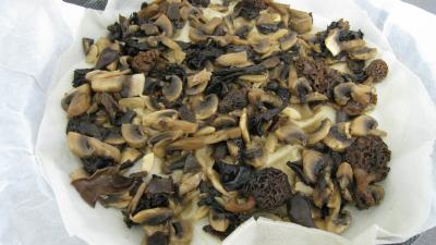 Brick aux champignons des bois - 9.2