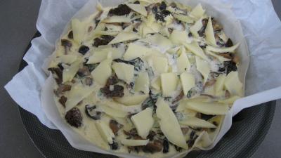 Brick aux champignons des bois - 9.4
