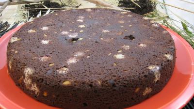 Recette Brownies moisis aux asticots