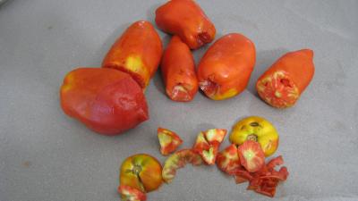 Sauce tomates façon Bolognaise - 1.4