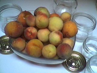 Ingrédients pour la recette : Stérilisation au naturel de pêches en autocuiseur