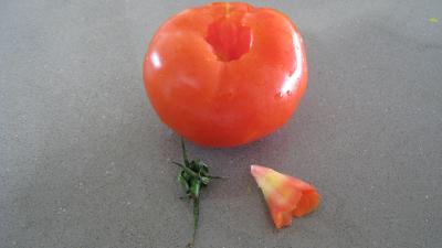 Velouté de courge minceur - 4.4