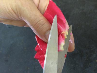 Vinaigre de roses - 1.2