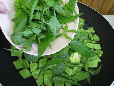 Velouté d'orties aux légumes - 10.4