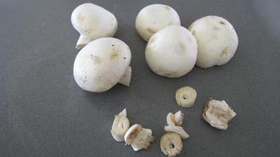 Cake aux champignons - 2.3