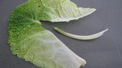 Chou à la moutarde - 2.2