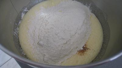 Biscuits de Savoie (biscottini alla Savoiarda) - 2.4