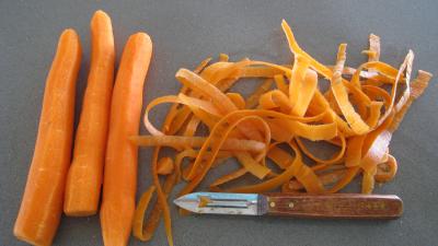 Carottes au fromage blanc minceur - 1.1