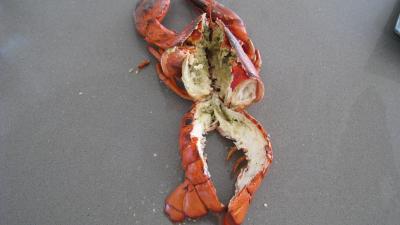 Verrines de homard en salade - 4.1