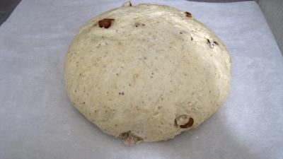 Pain aux noisettes - 7.4