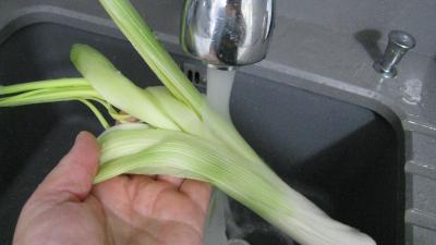 Velouté de légumes - 6.3