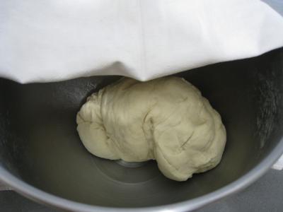 Pain aux oignons en forme de tortue - 5.2