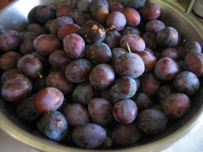 prunes avec pruines
