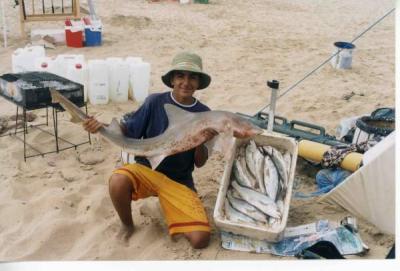 Image : Requin - Otto et son requin