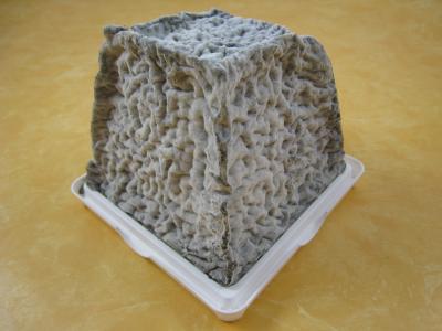 Image : Valençay (fromage) - Fromate Valençay
