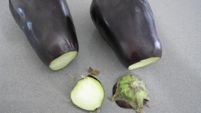 Purée d'aubergines et confit d'oignons et de tomates - 3.4