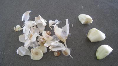 Capellini aux cèpes - 2.2