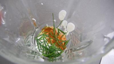 Guacamole à la truite fumée - 2.2