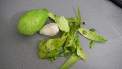 Guacamole à la truite fumée - 2.4