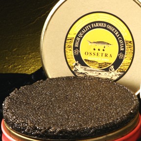 ossetra