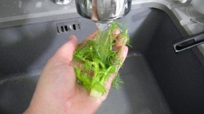 Lieu noir sauté aux pâtes et aux légumes - 2.2