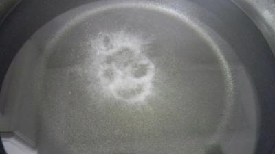 Lieu noir sauté aux pâtes et aux légumes - 8.1